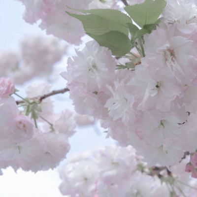 Furry兽圈经典作品解读FurryQQ群